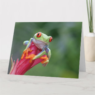 Custom Text Frog Card