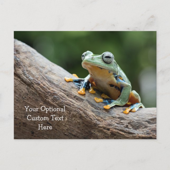 Custom Text Frog Postcard (Front)