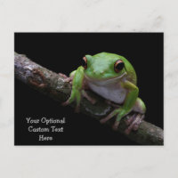 Custom Text Frog Postcard