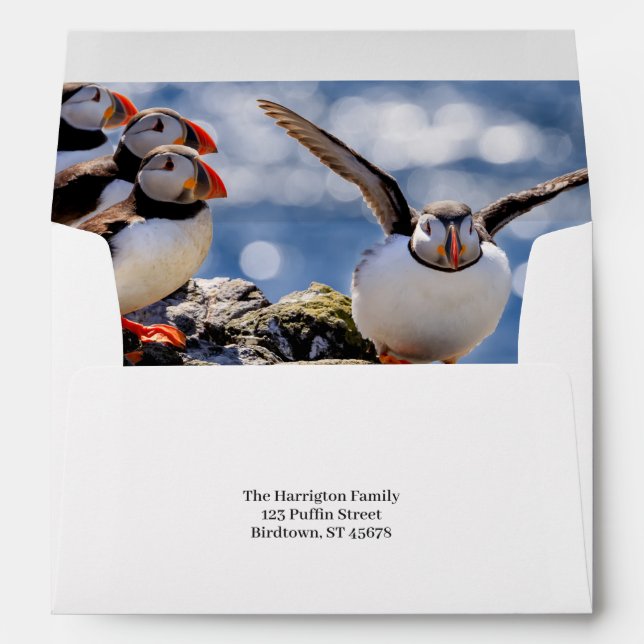 Custom Text Icelandic Puffins Envelope (Back (Bottom))