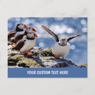 Custom text Puffin postcard