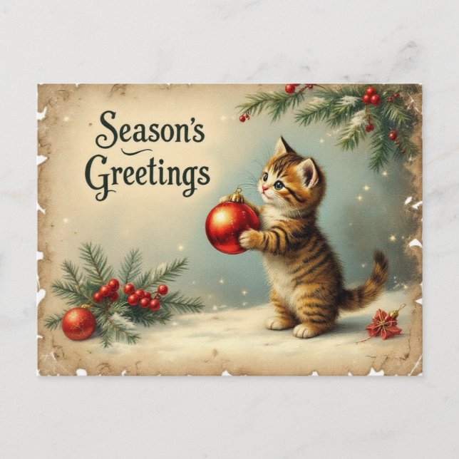Custom Text Season’s Greetings Kitten Postcard (Front)