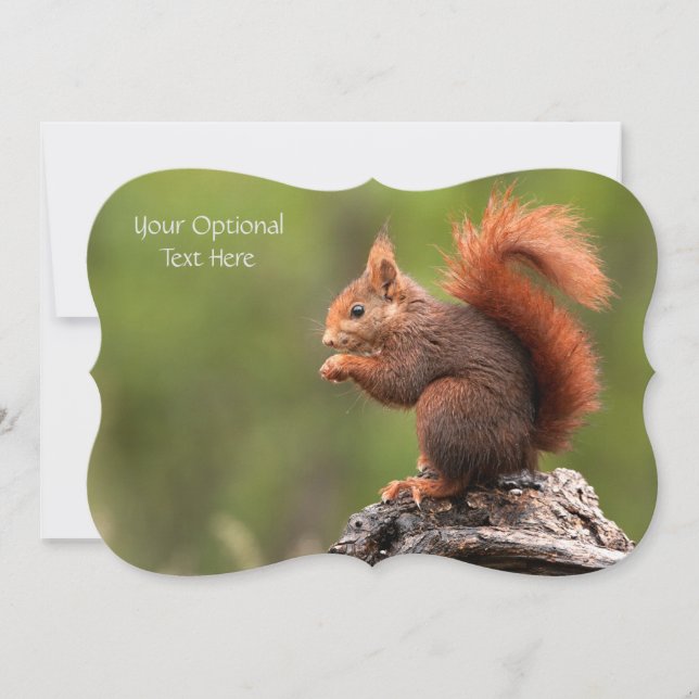 Custom Text Squirrel Card (Front)