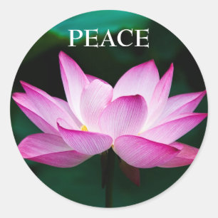 Custom Text Zen Pink Lotus Flower Peace Sticker
