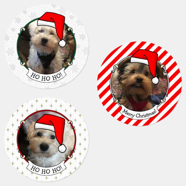 Custom Three Photo Pet Christmas Santa Hat (Group)