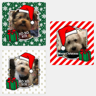Custom Three Photo Pet Christmas Santa Hat