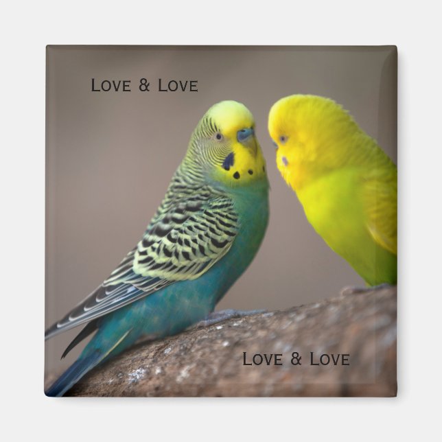 Custom Two Parrot image with text Loving Magnet (Front)