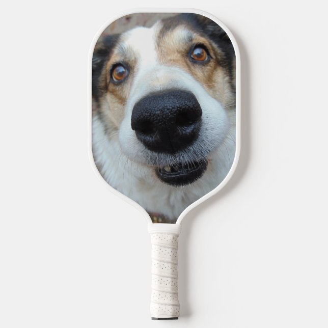 CUSTOM TWO PHOTO PET DOG PICKLEBALL PADDLE (Front)