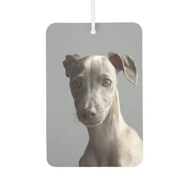 Custom Two-sided Pet Dog Photo Personalised Car Air Freshener (Front)