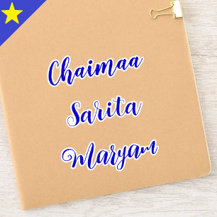 Custom Vinyl Decal Tag, Personalised Name Stickers