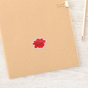 Custom Vinyl Decals. Cars. Walls. Windows.