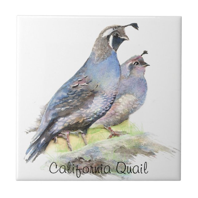 Custom Watercolor California Quail birds Tile (Front)