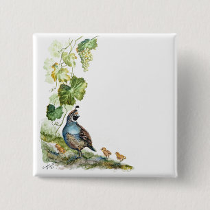 Custom Watercolor California Quail Family Grapes 15 Cm Square Badge