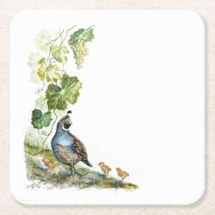 Custom Watercolor California Quail Family Grapes Square Paper Coaster