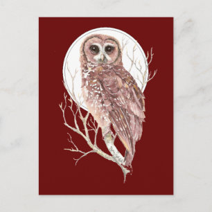 Custom Watercolor Owl in Tree, Moon, Bird, Nature Postcard