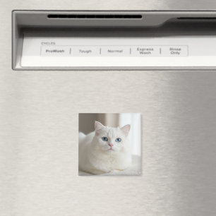 Custom white cat photo magnet for fridge