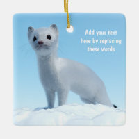 Custom White Ermine Winter Animal Art