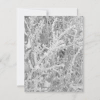 Custom Winter Icy Pine Tree Blank Note Card