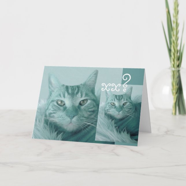Custom Year Birthday Card - AQUA BLUE Cat (Front)