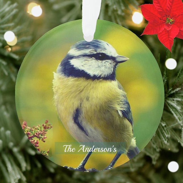 Custom Yellow-breasted Blue Chat Photo Ornament (Creator Uploaded)