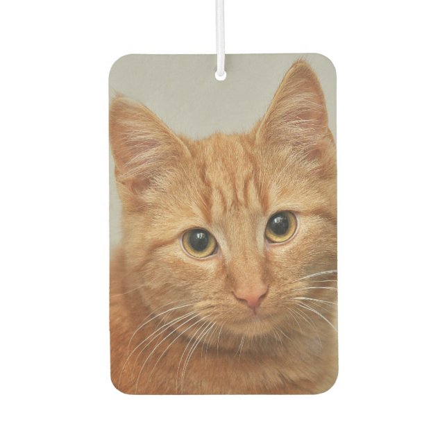 CUSTOM YOUR CAT PHOTO AIR FRESHENER (Front)