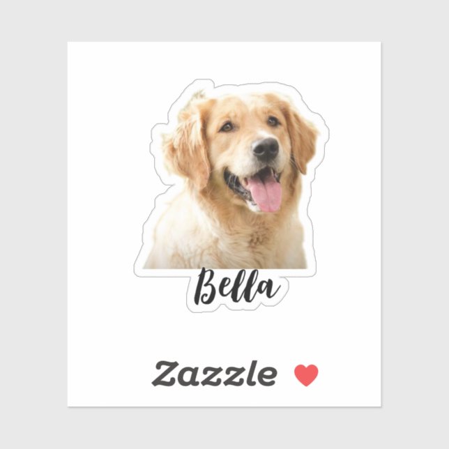 Custom your pet's photo with name (Sheet)