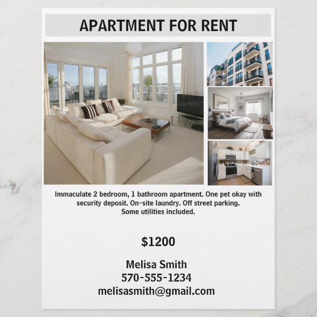 Customisable Apartment for Rent Flyer (Front)