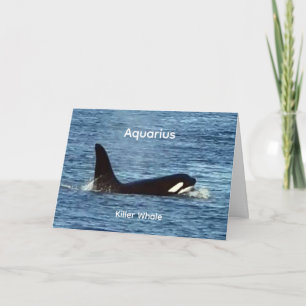 Customisable Aquarius West Coast Orca Killer Whale Card