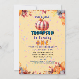 Customisable " Baby 1 st Birthday Party " Invitation