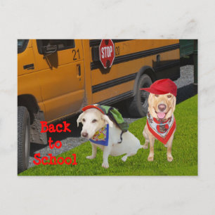 Customisable Back to School Postcard