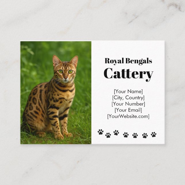 Customisable Bengal Cattery Business Card  (Front)
