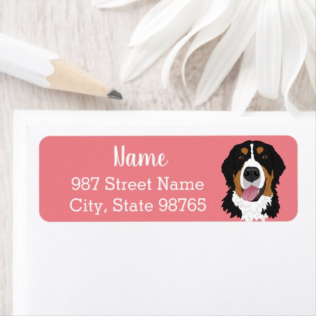 Customisable Bernese Mountain Dog (Insitu)
