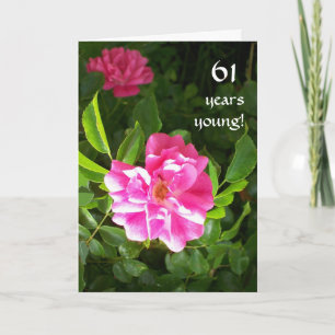 Customisable Birthday Card - Bright Pink Roses