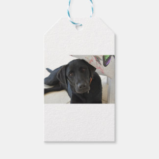 Customisable Black Labrador Retriever Gift Tags