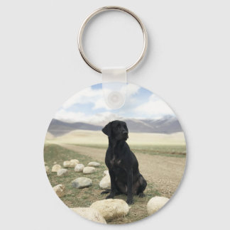 Customisable Black Labrador Retriever Key Ring