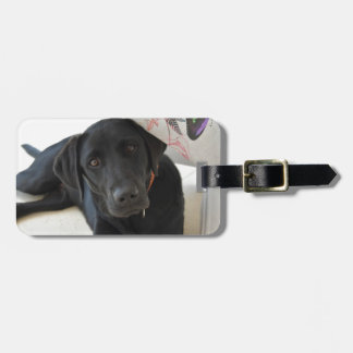Customisable Black Labrador Retriever Luggage Tag