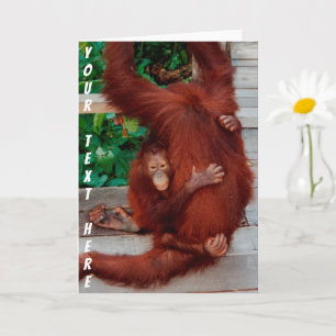 Customisable Borneo orangutan Card