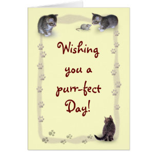Customisable Cat