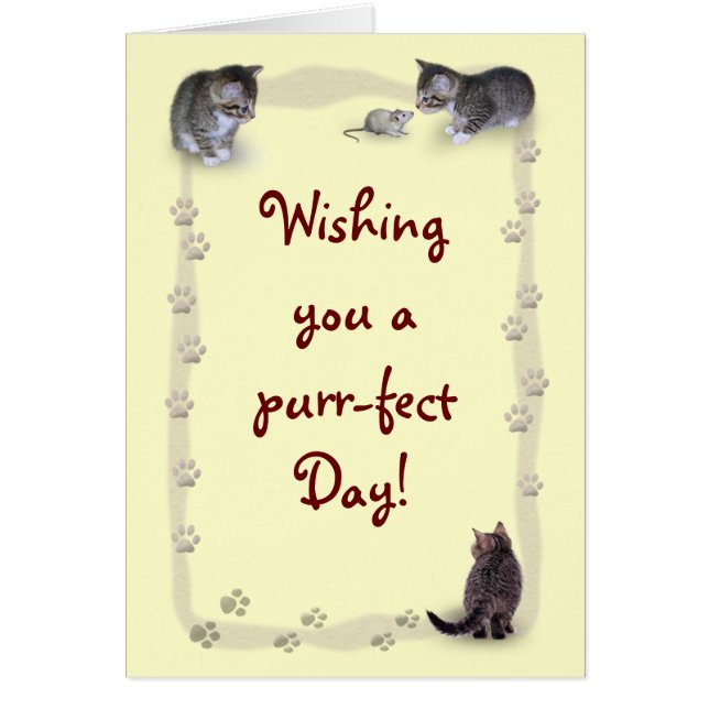 Customisable Cat (Front)