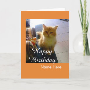 Customisable Cat Birthday Greeting Card With Name