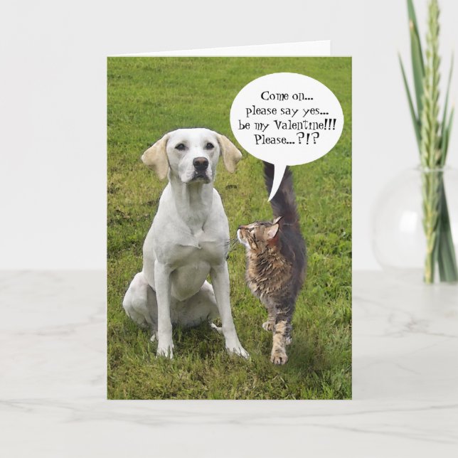 (Customisable) Cat & Dog Valentine Holiday Card (Front)