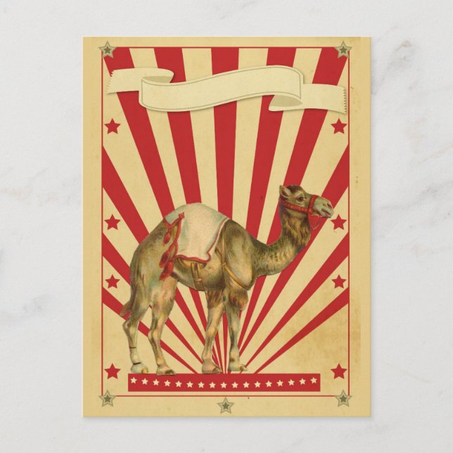 Customisable Circus Postcard (Front)