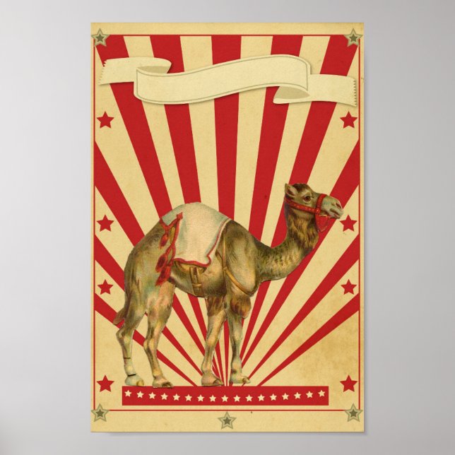 Customisable Circus Poster (Front)