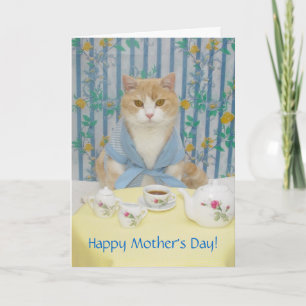 Customisable Cute/Funny Cat Card
