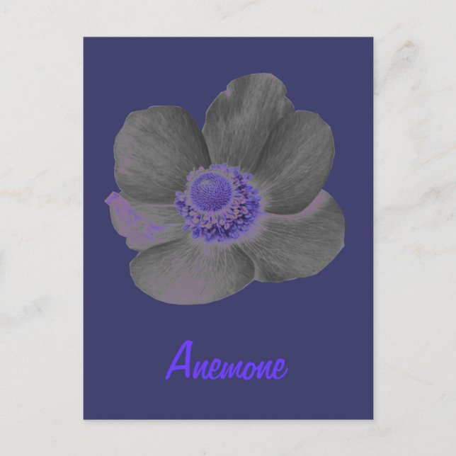 Customisable Dark Dreams Anemone Flower Postcard (Front)