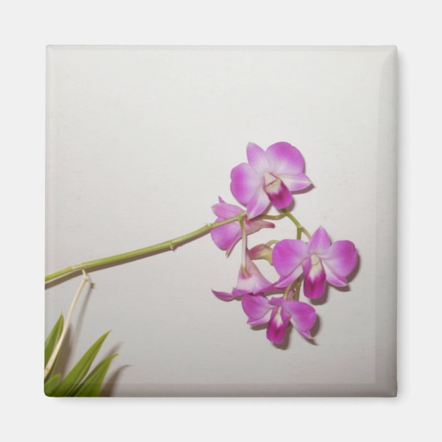 Customisable Decorative Orchid  Magnet (Front)