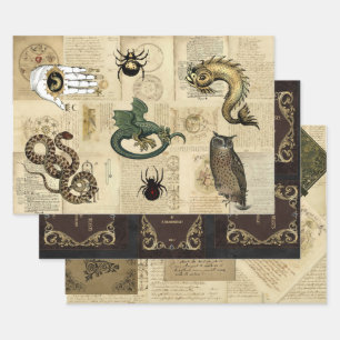 Customisable Dragon Magical Beasts Grimoire  Wrapping Paper Sheet