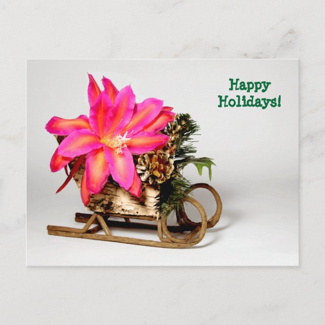 Customisable Epiphyllum Christmas Post Card (Front)