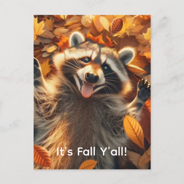 Customisable Fall Silly Racoon  Postcard (Front)