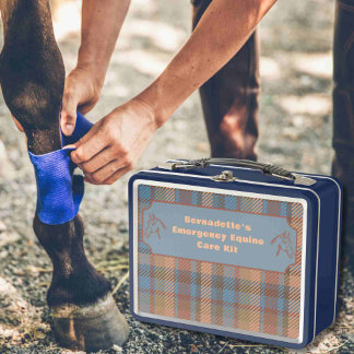 Customisable First Aid Equine Emergency Container Metal Lunch Box